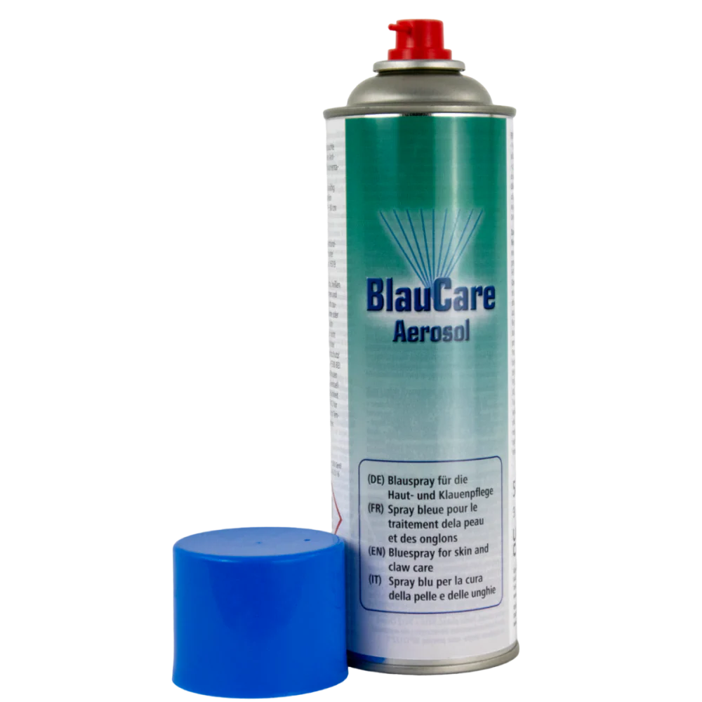 BlauCare Desinfektionspray