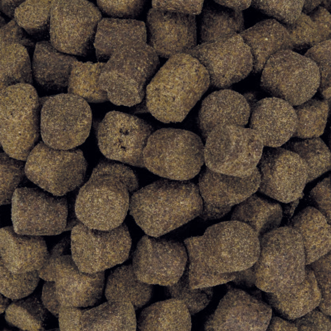 Carp Center Feed Pellets 1kg