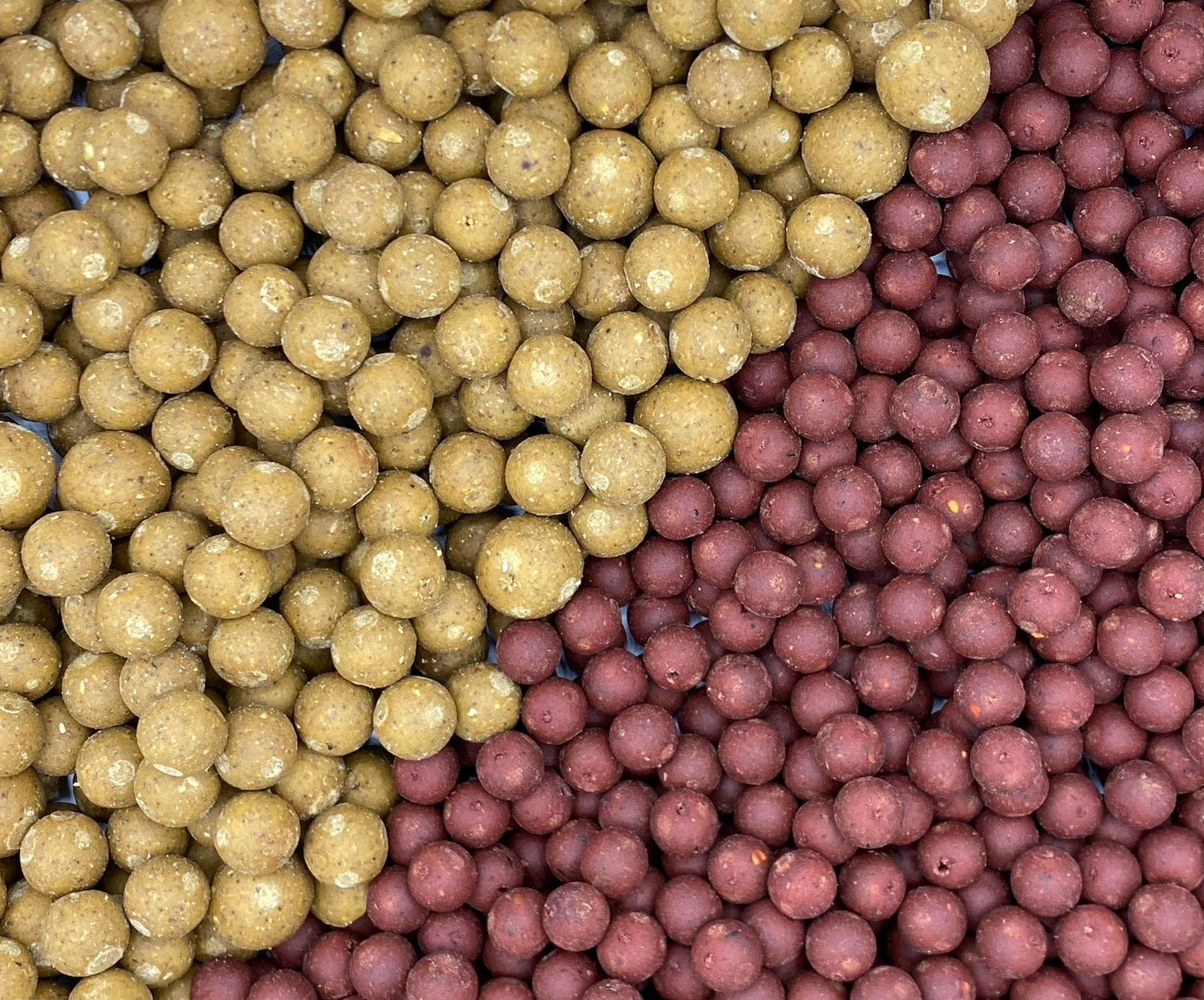 CC Boilie Bundle Deal 4x 5kg