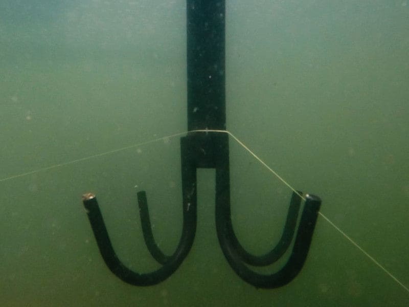 Delphin Löseanker