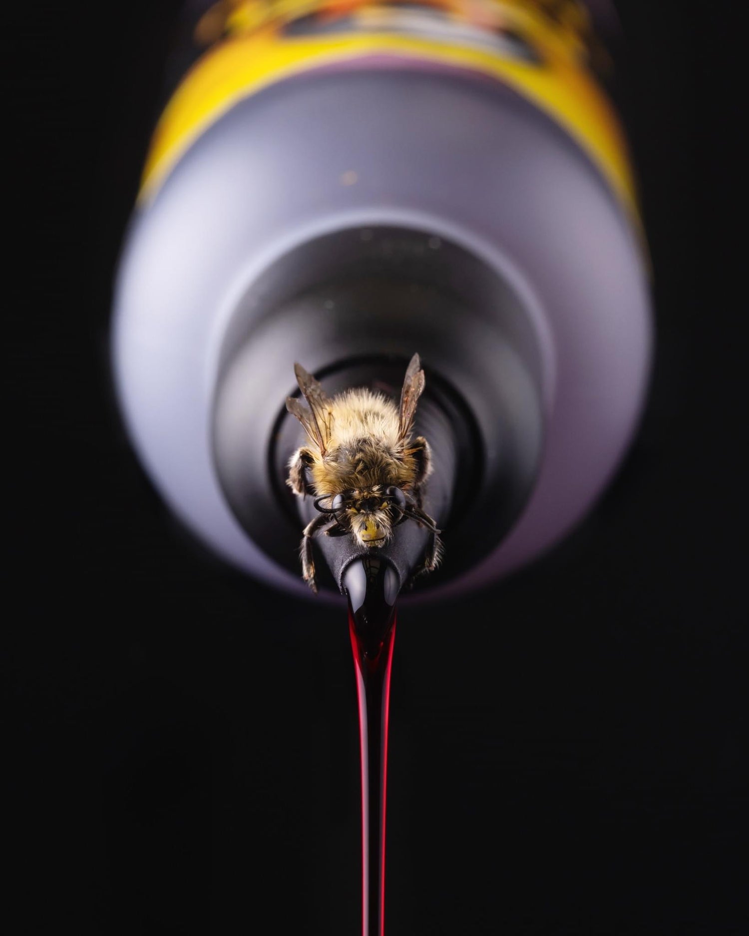 Korda GOO Golden Honey Supreme