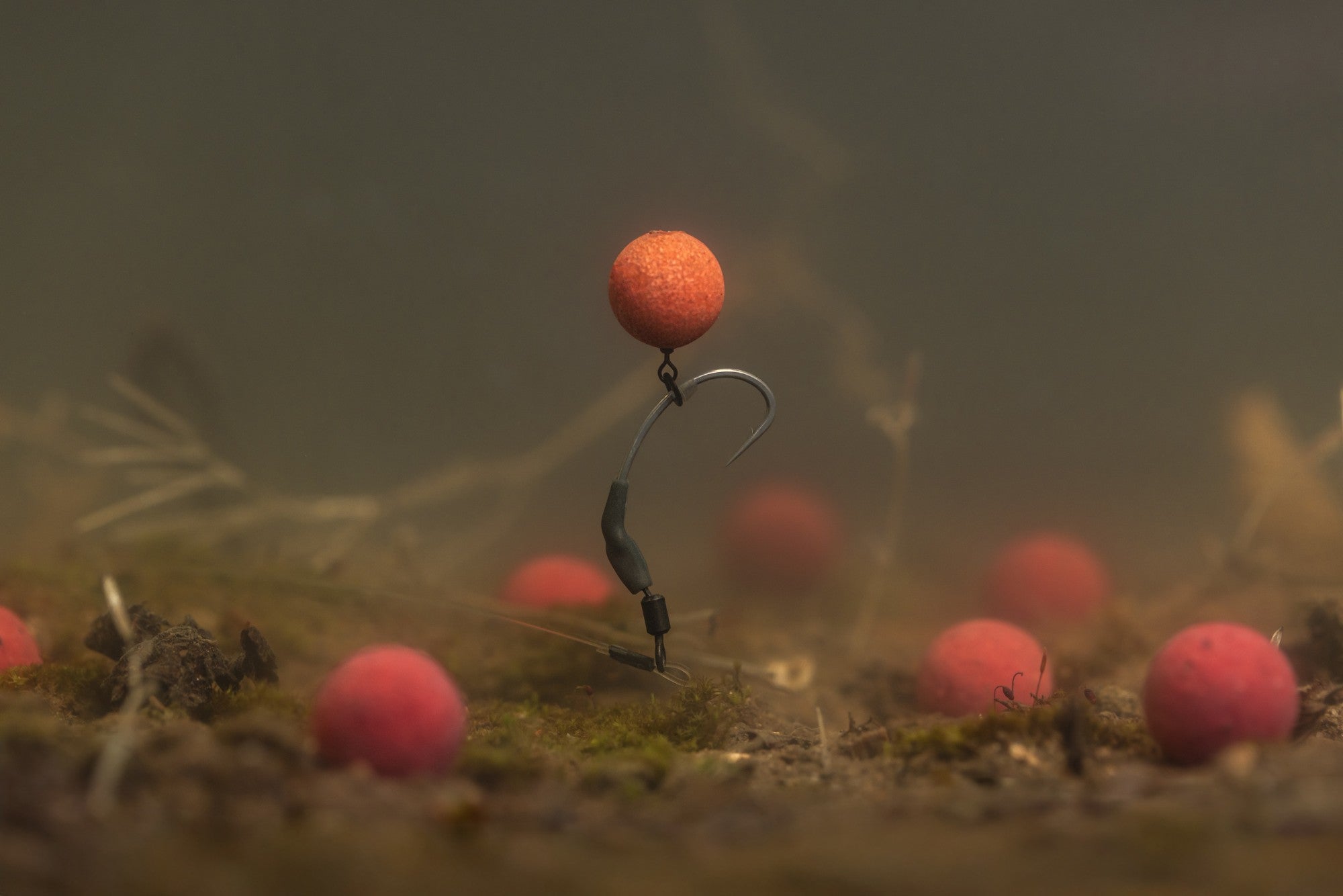 Korda Pop Up Boilie Cell