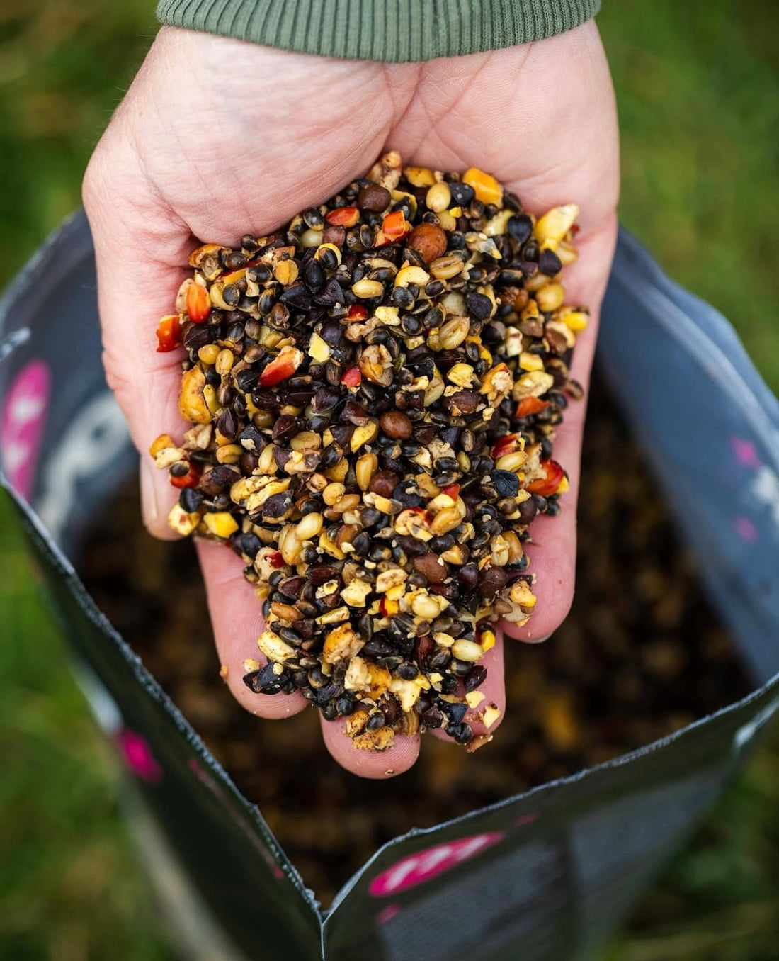 Mainline Power+ Aniseed 2kg