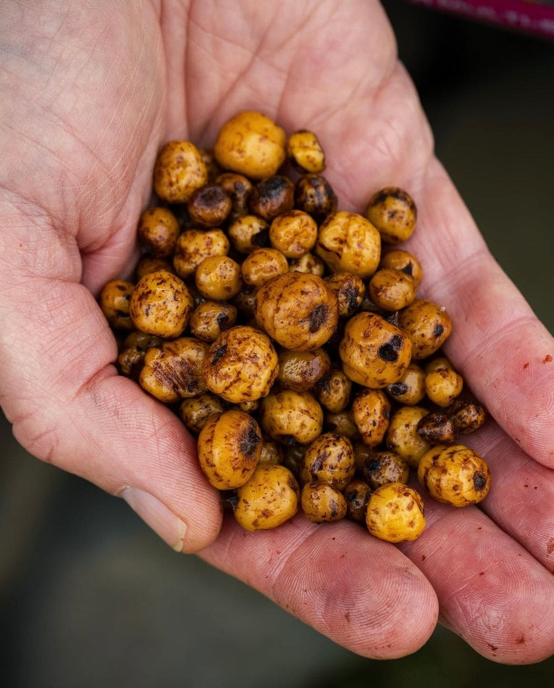 Mainline Power+ Sweet Tigers 2kg