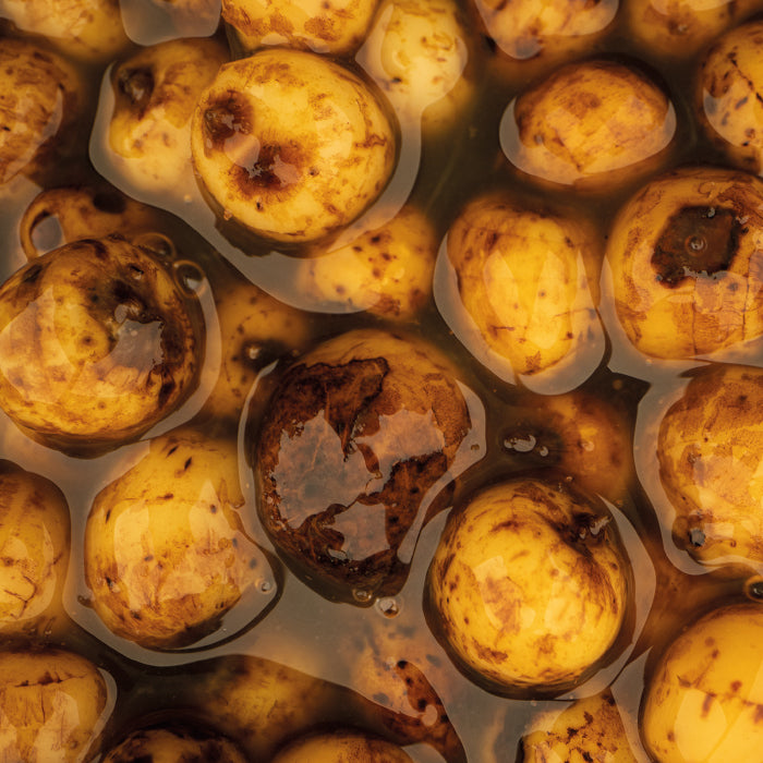 Nash Sweet Tigernuts