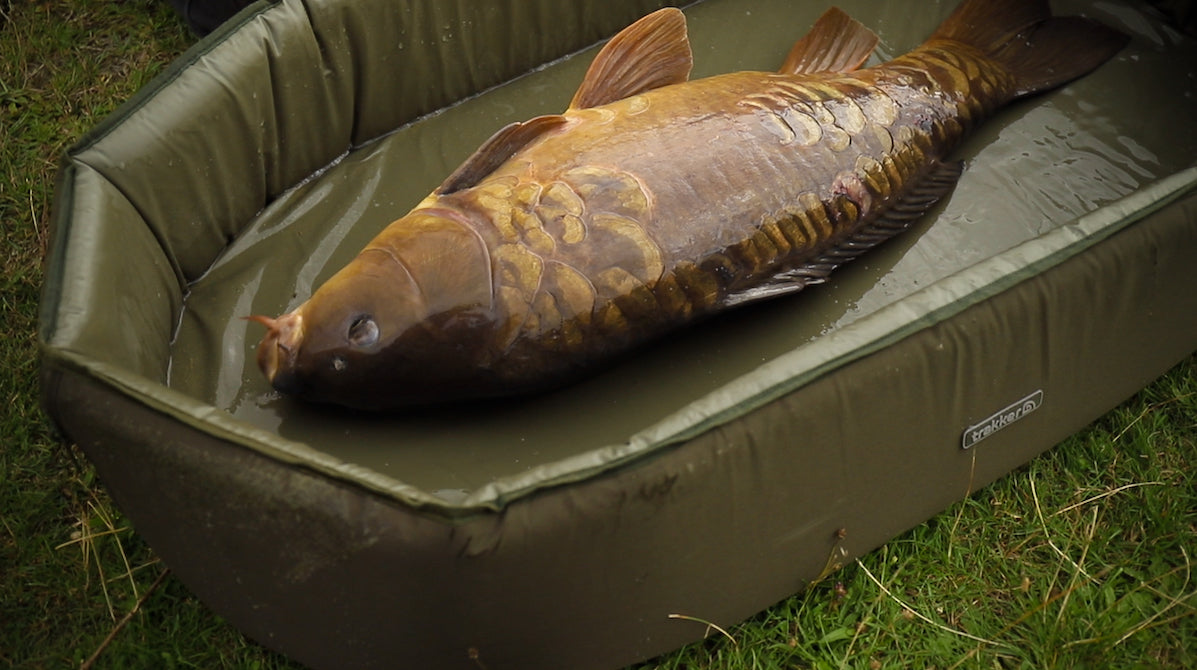 Trakker Sanctuary Self Inflating Crib XL