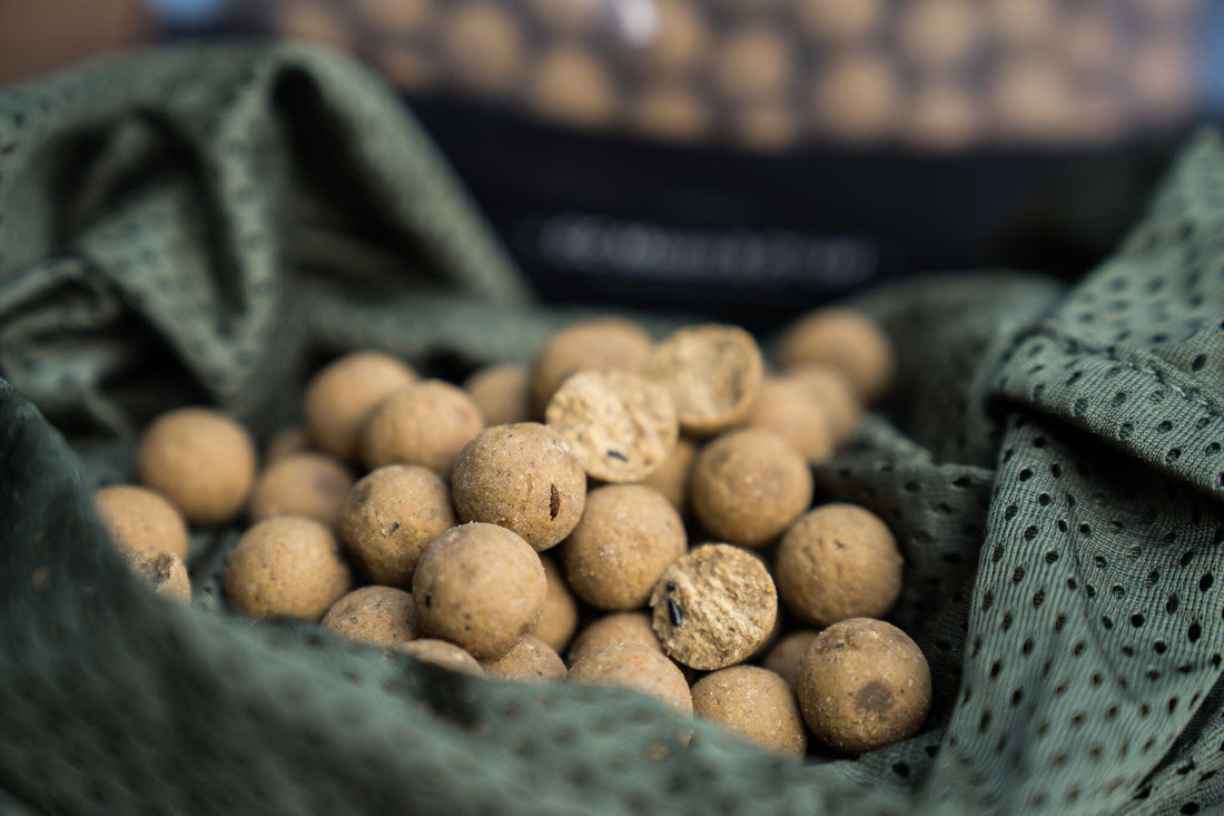 CC Moore Odyssey XXX Shelf Life Boilies 20kg