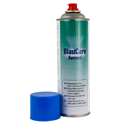 BlauCare Desinfektionspray