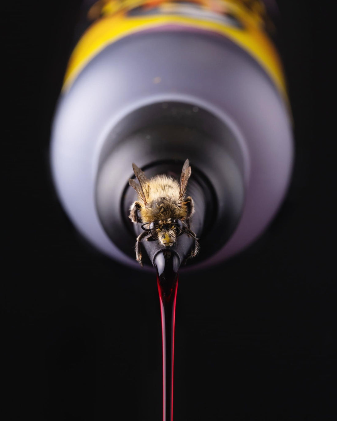 Korda GOO Golden Honey Supreme