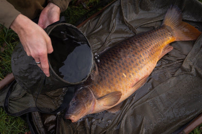 Korda Compac Water Bucket