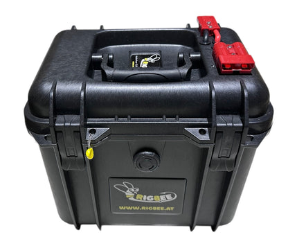 Rigbee LifePo4 Akku Set