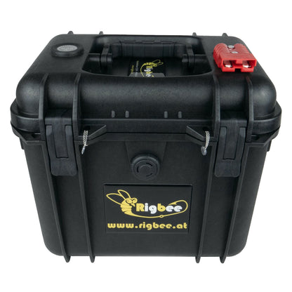 Rigbee MaxBeePower 12V100Ah LifePo4 Set