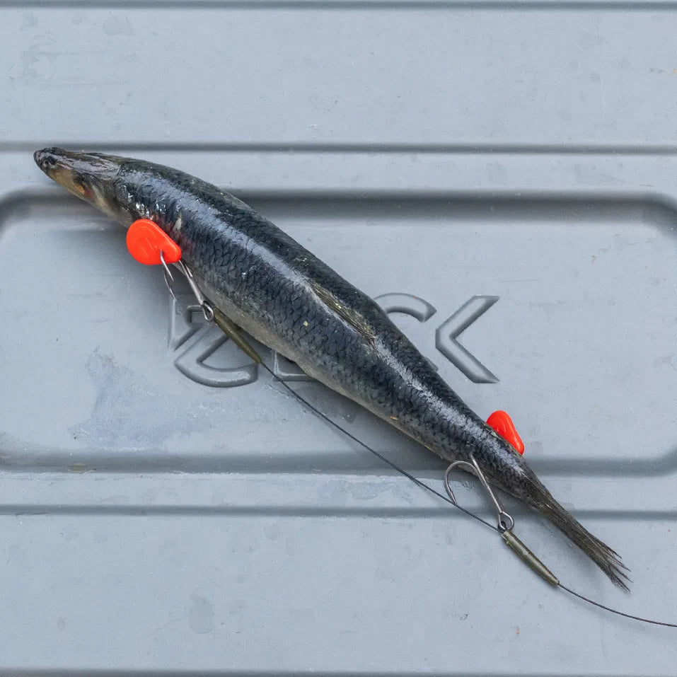 Zeck Twin Treble Rig 